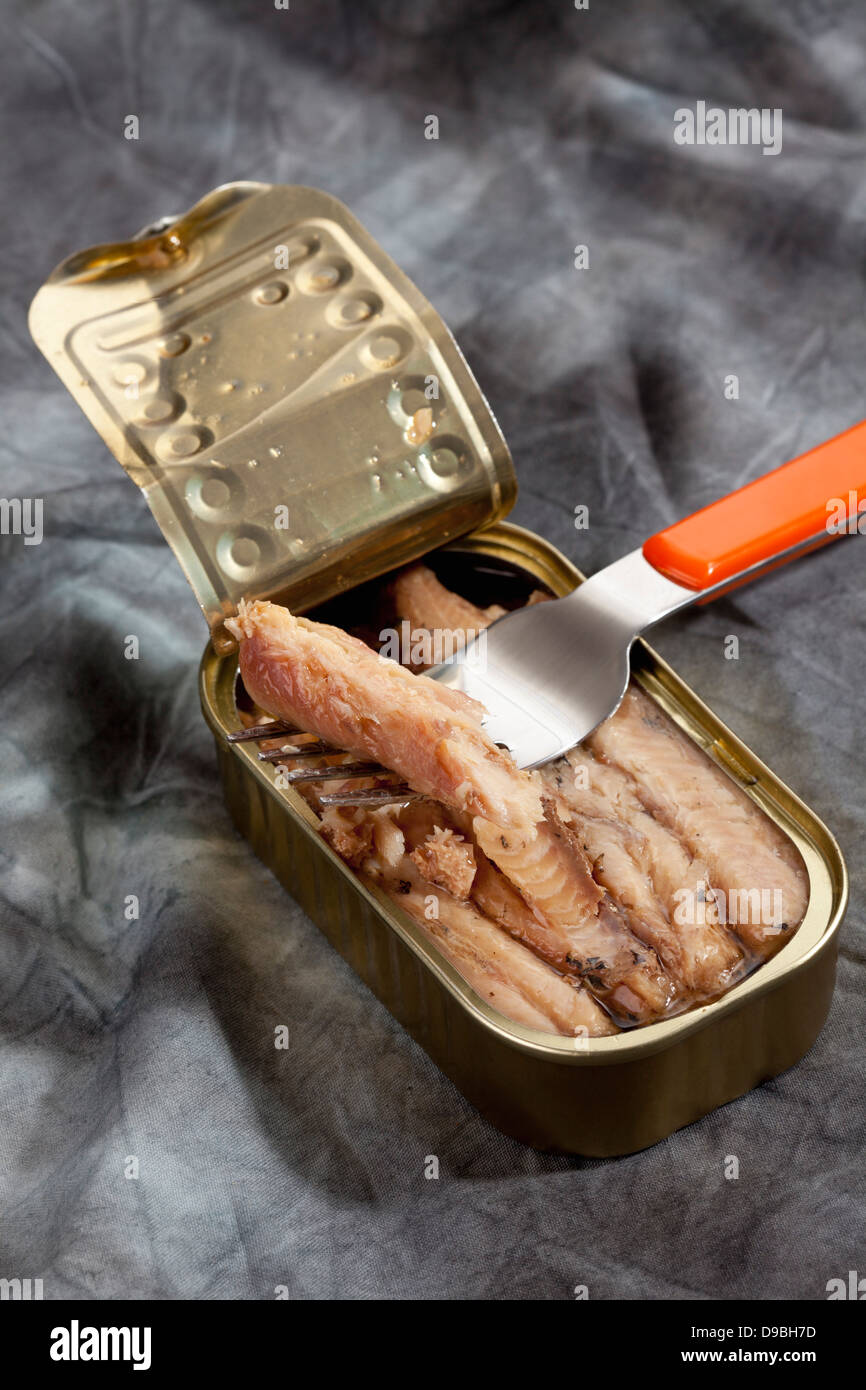 Possono le sardine filltes in olio su tessuto Foto Stock