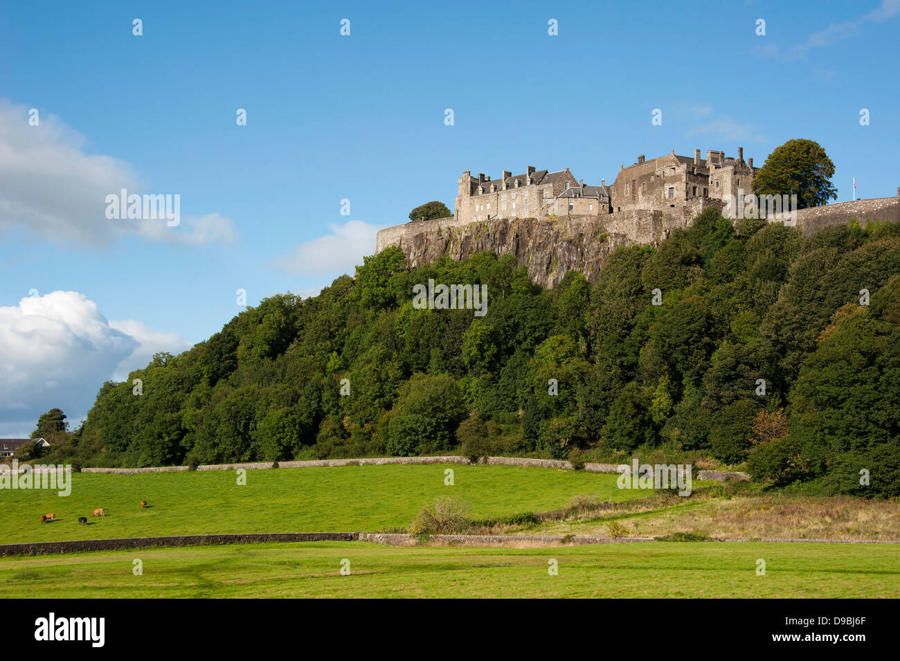 Il Castello di Stirling, Stirling, Scozia, Gran Bretagna, Europa , il Castello di Stirling, Stirling, Schottland, Grossbritannien, Europa, St Foto Stock