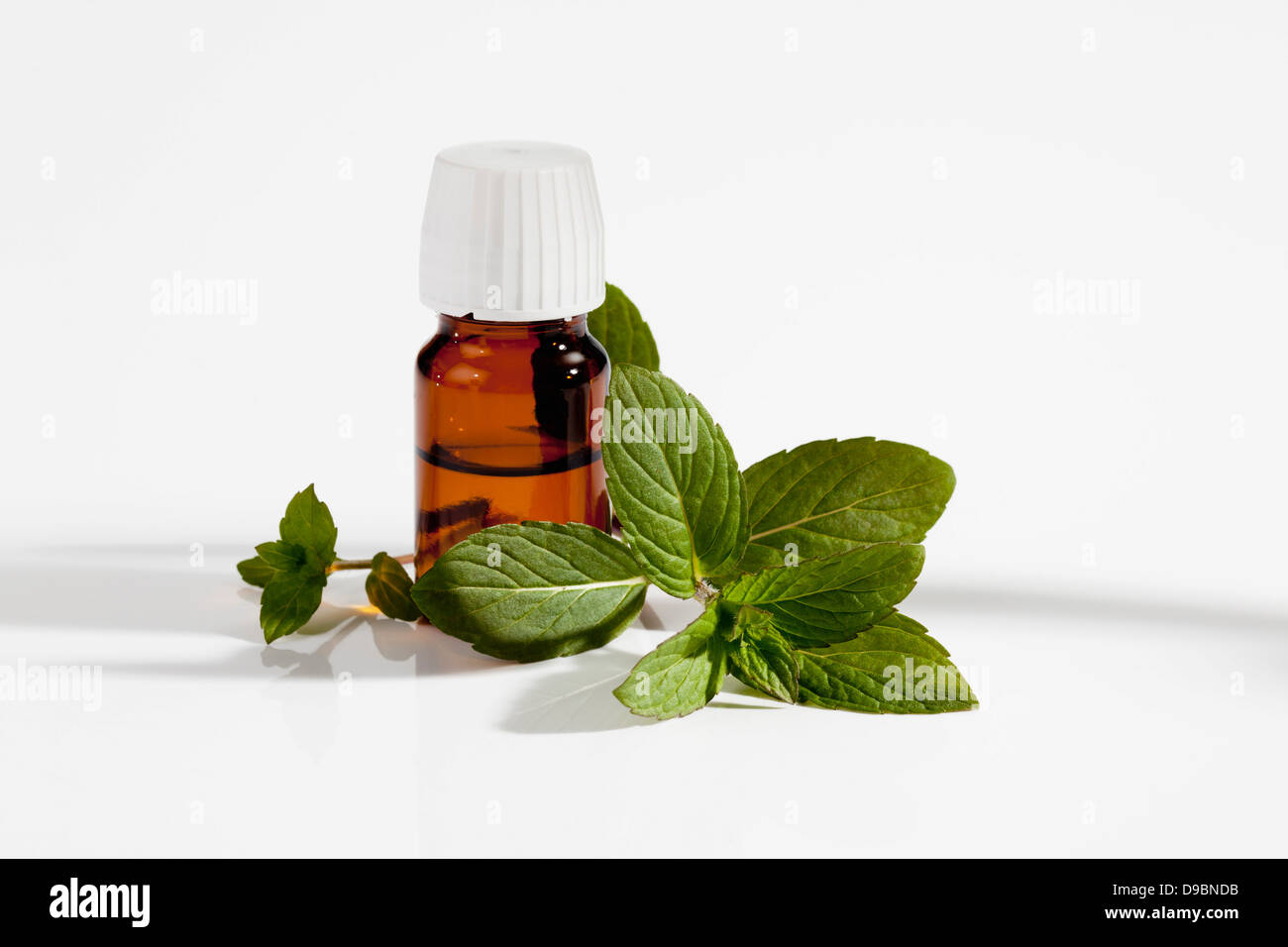 Menta giapponese con il flacone di farmaco su sfondo bianco, close up Foto Stock