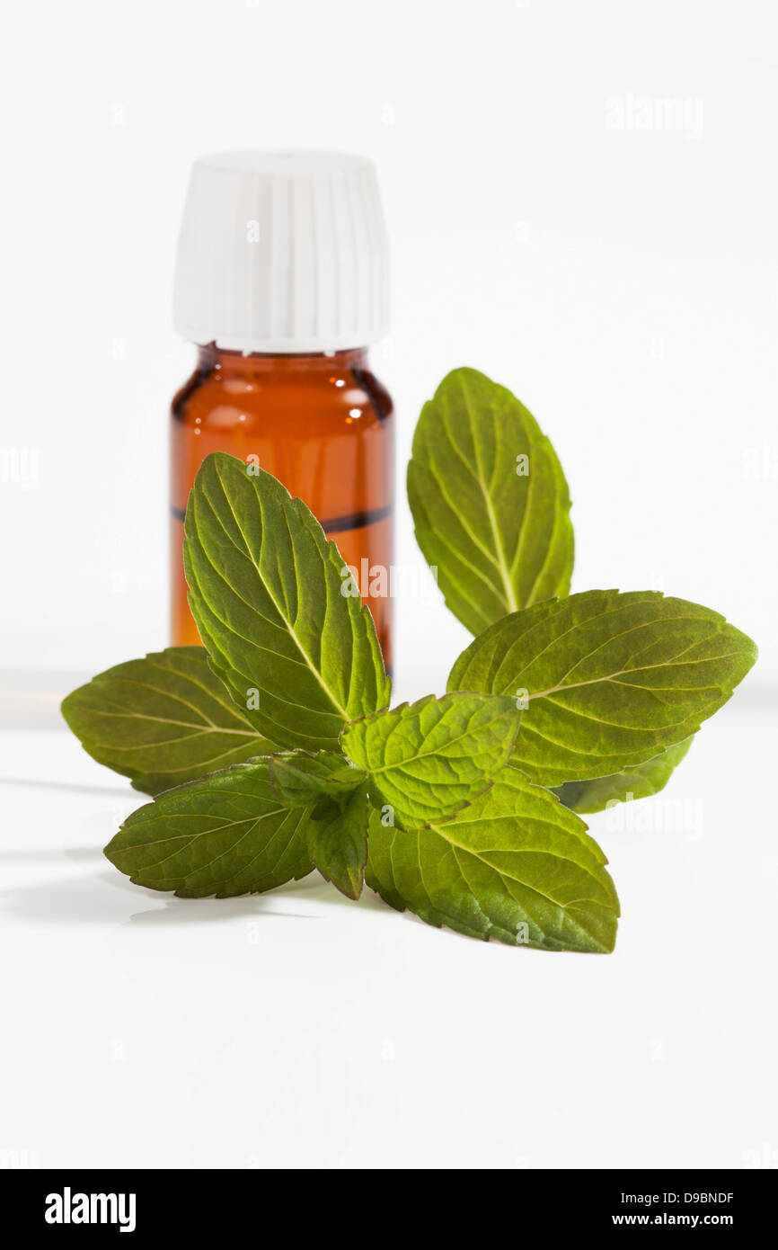 Menta giapponese con il flacone di farmaco su sfondo bianco, close up Foto Stock