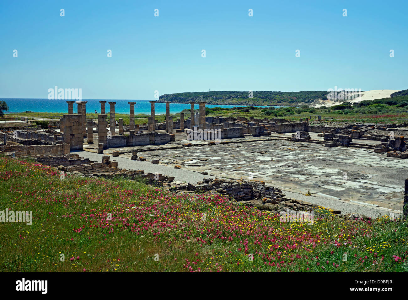 Baelo Claudia, Bolonia, archeologia romana, ruinas romanas, tarifa Foto Stock