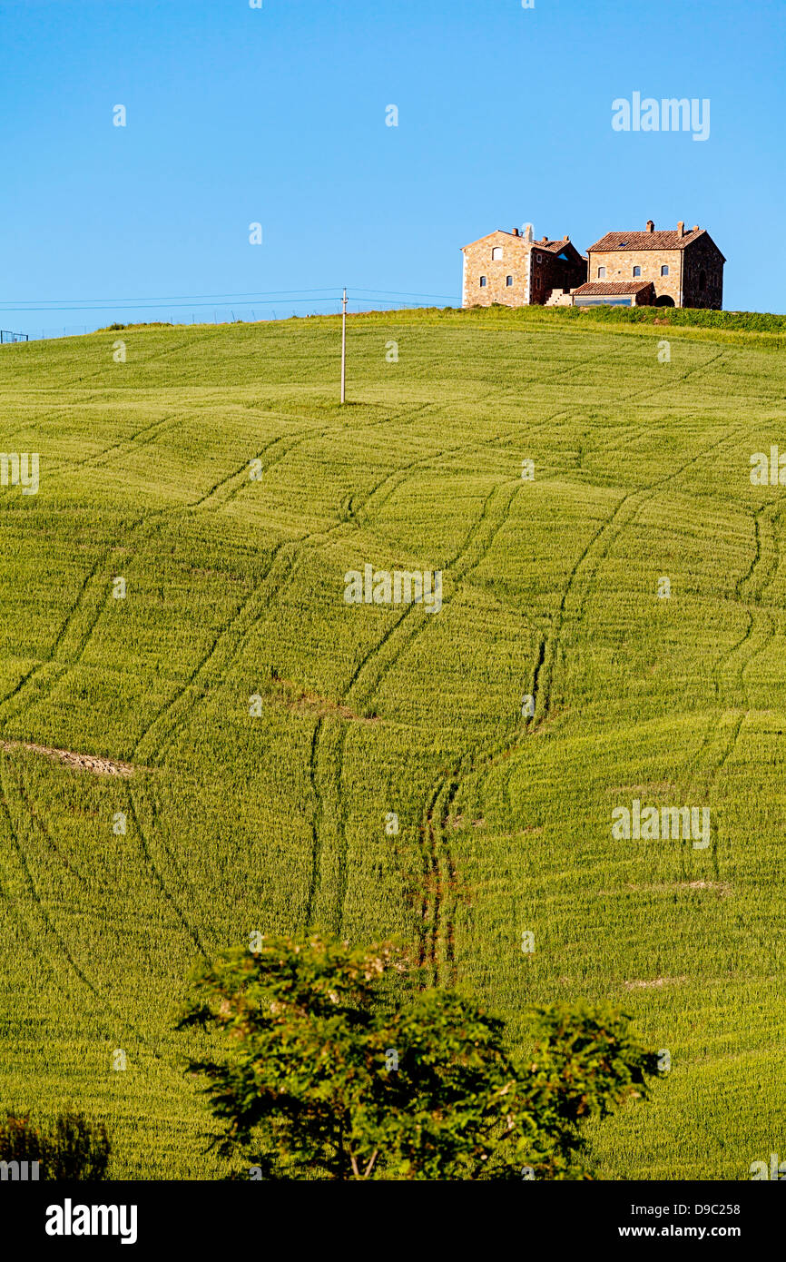 Agriturismo in Toscana, Italia, Europa Foto Stock