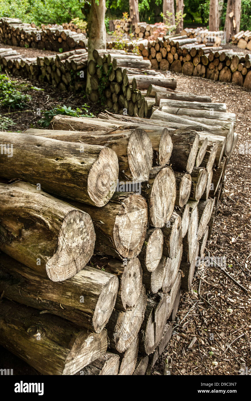 Un patrimonio artistico di disposizione dei registri in una foresta. Foto Stock