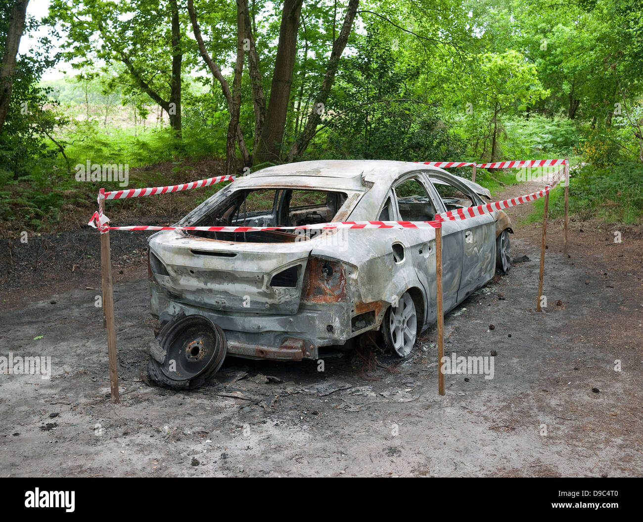 Bruciata Auto nel parco boschivo, Norfolk, Inghilterra Foto Stock