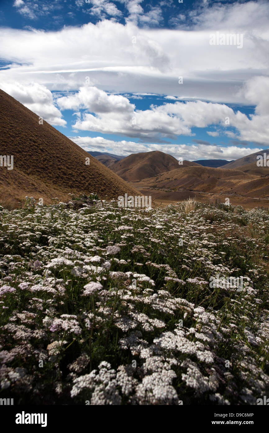 Paesaggio di montagna con le colline e la vegetazione, vicino a Cromwell di Central Otago, Isola del Sud, Nuova Zelanda Foto Stock