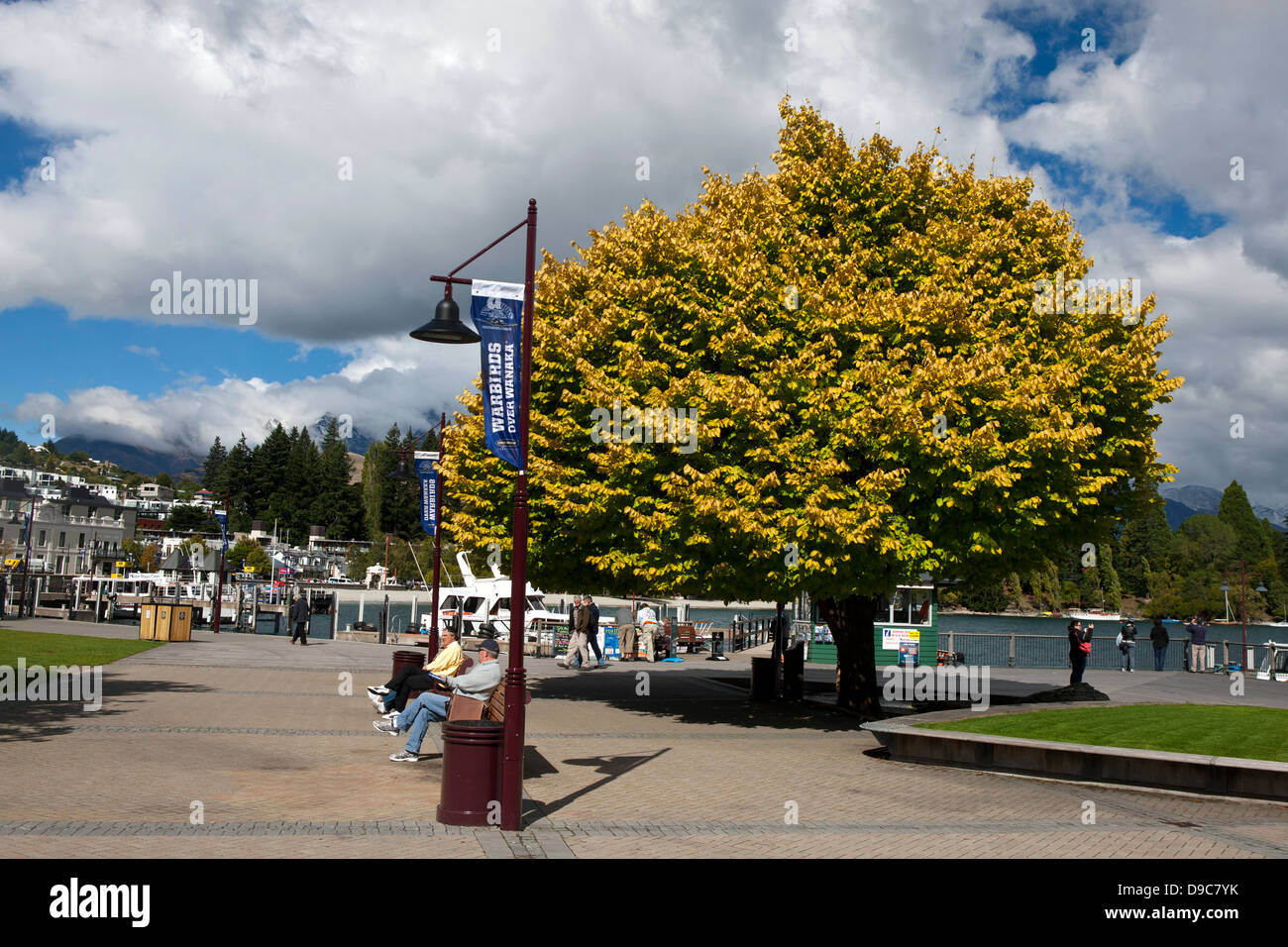 La gente seduta sulle panchine di fronte ad un albero giallo vicino alla riva del lago Wakatipu, Queenstown, Distretto di Otago, Isola del Sud, Nuova Zelanda Foto Stock