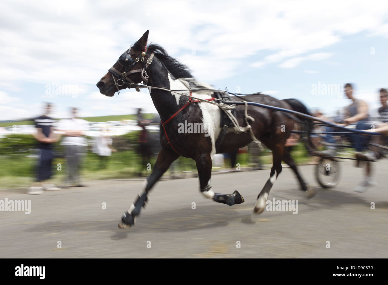 Gli zingari che guidano i loro cavalli sul 'lampeggiare lane' o 'mannuncio mile' per mostrare agli acquirenti in Appleby Horse Fair in Cumbria, Inghilterra Foto Stock