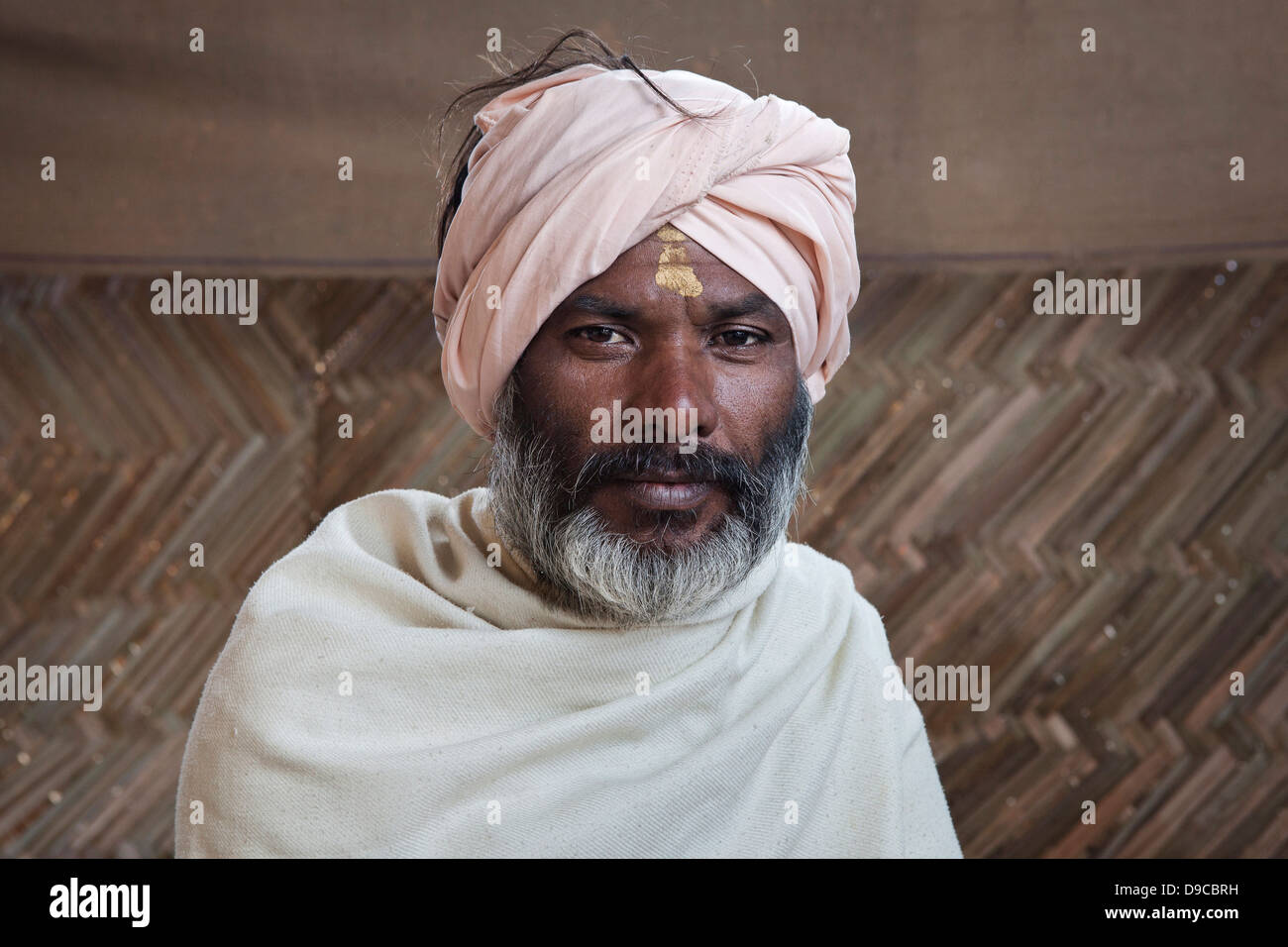 Ritratto di un uomo santo presso il Kumbh Mela 2013 in Allahabad, India Foto Stock