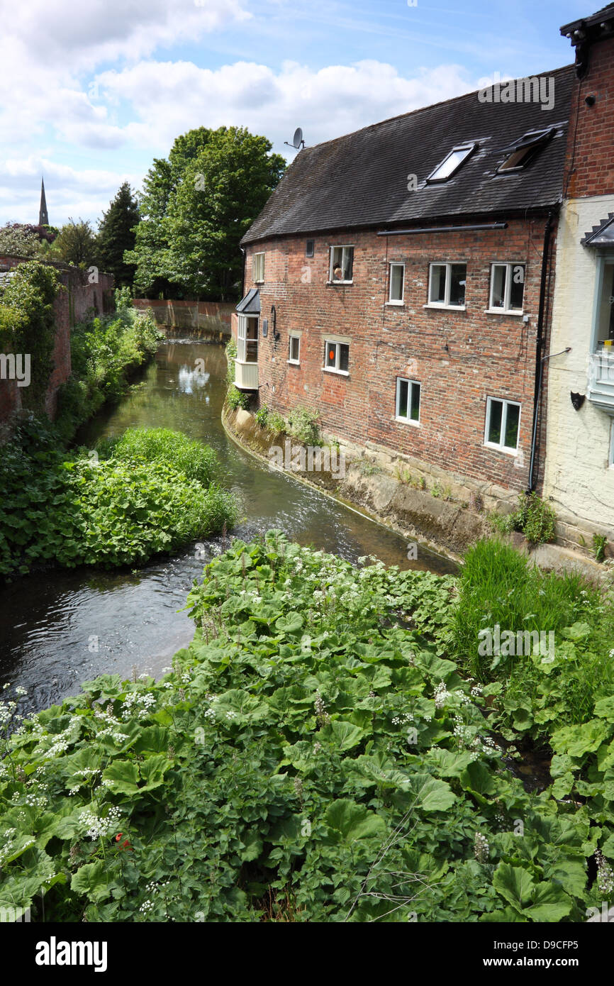 Henmore Brook, il fiume che attraversa la città mercato di Ashbourne, Derbyshire Foto Stock