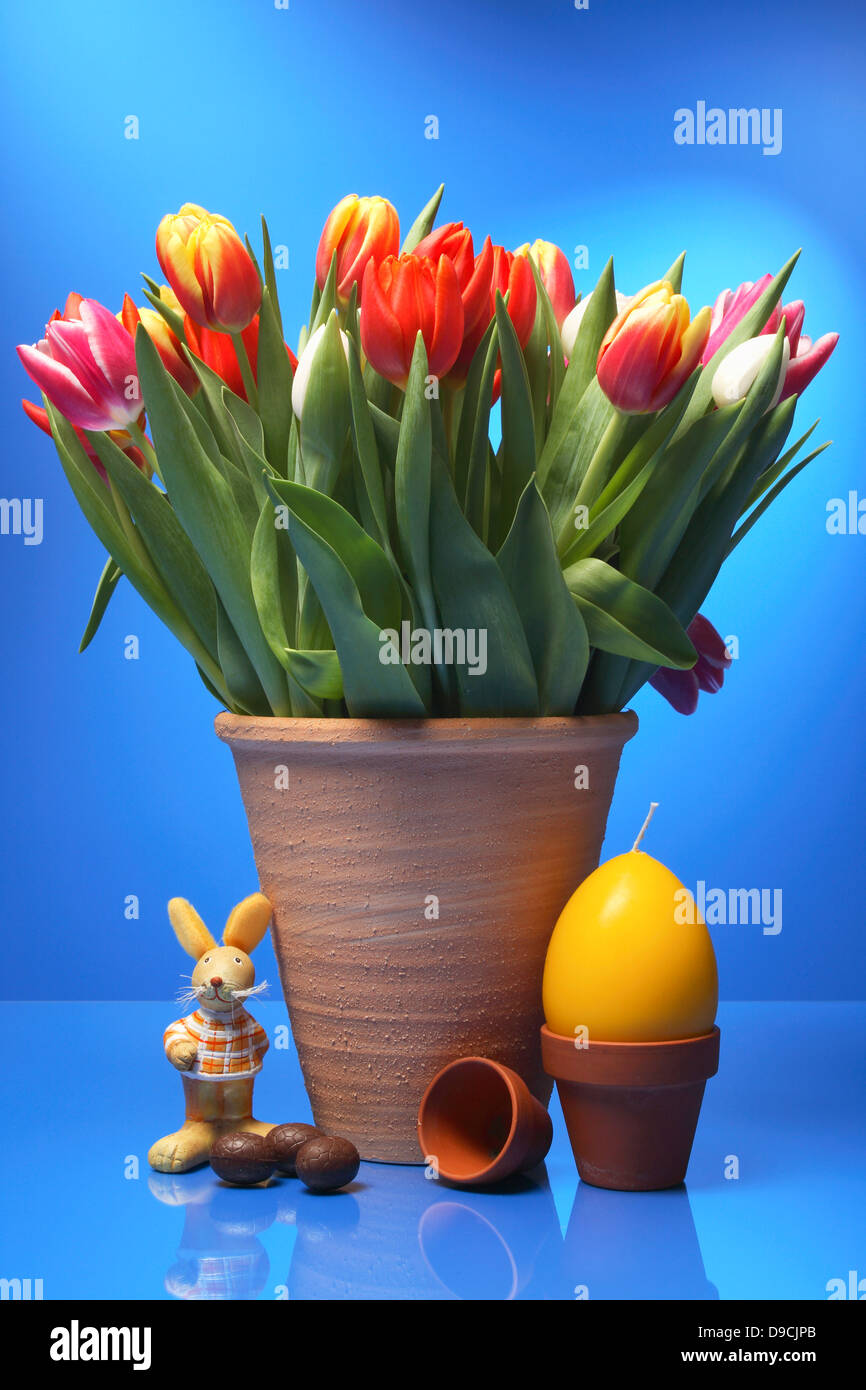I tulipani con il coniglietto di Pasqua, Schokoeier e candela Foto Stock