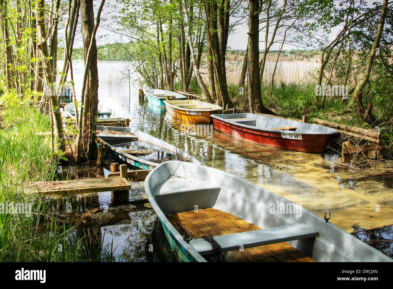 Vecchia barca investitore nella Schaalsee Foto Stock