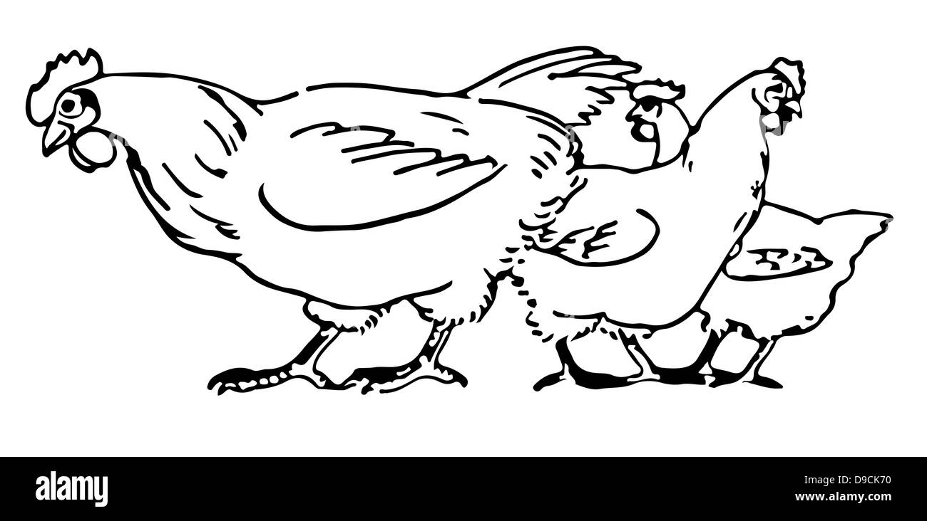 Disegno isolato su uno sfondo bianco Foto Stock