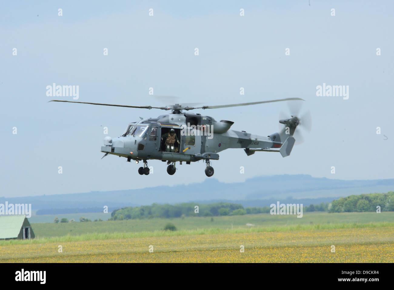 AgustaWestland AW159 Wildcat AH1 - ZZ408 - AAC. Foto Stock
