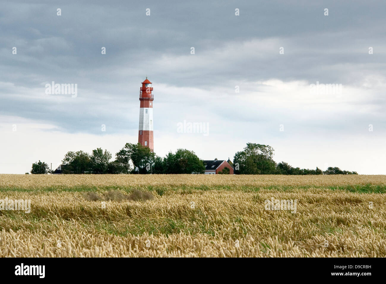 Faro sul Fehmarn Foto Stock