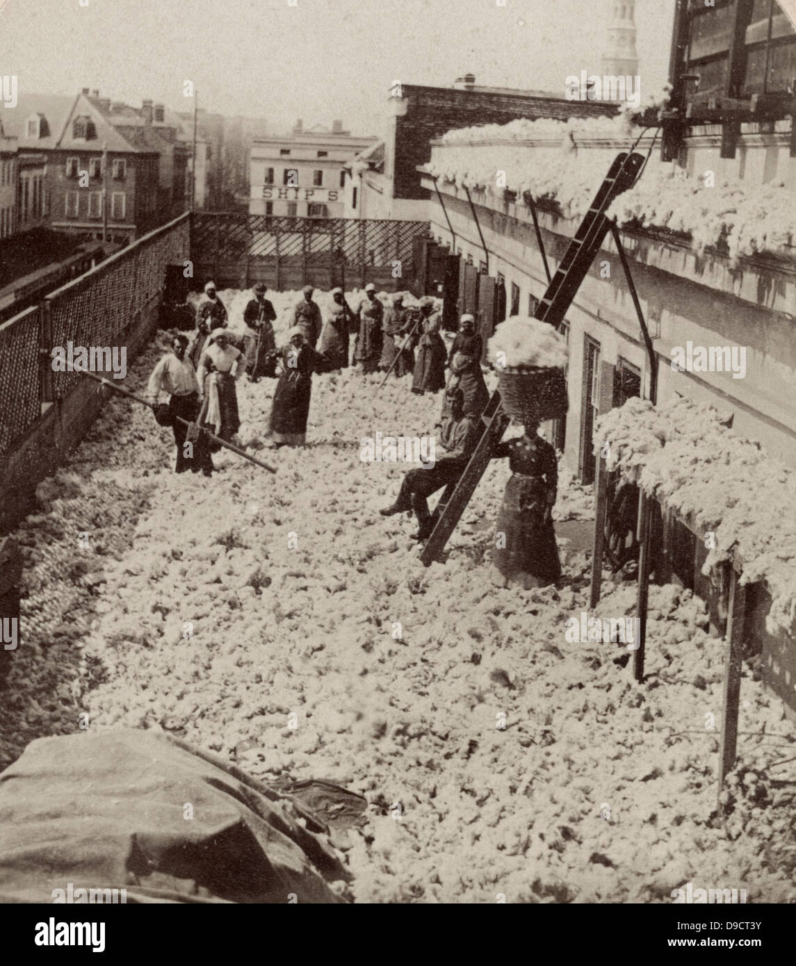 Magazzino di cotone, l'asciugatura cotone, Charleston, Carolina del Sud. Americani africani, soprattutto donne, con due uomini bianchi sul tetto del magazzino di cotone, circondato da asciugatura cotone, circa 1879 Foto Stock