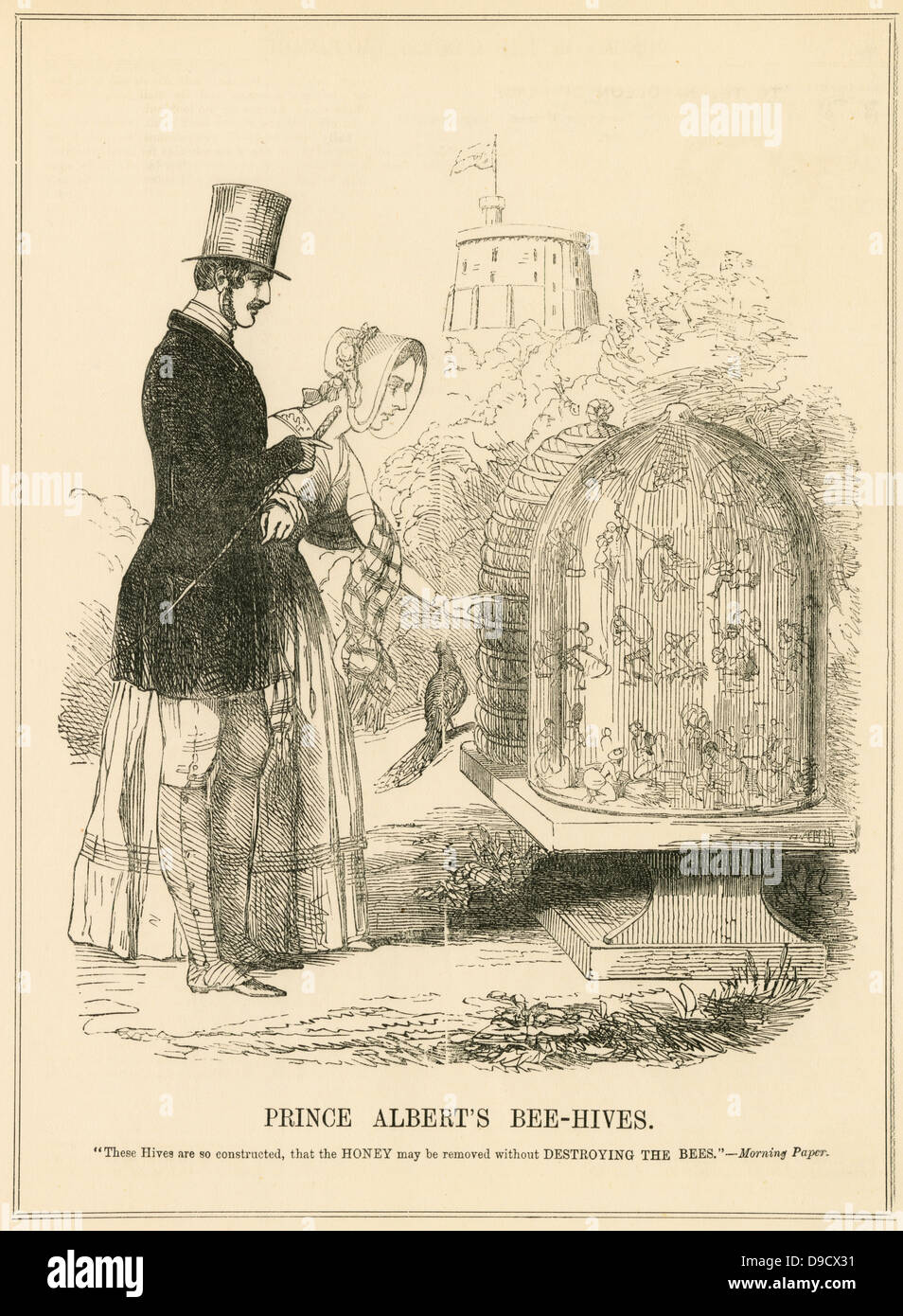 Prince Albert, consorte della regina Victoria, introdotto alveari migliorata in royal apiari, consentendo la colonia di api (lavoratori) quanto basta miele di sopravvivere all'inverno. Cartoon dal punzone, 1844, eguagliando le api di sfruttare i lavoratori britannici Foto Stock