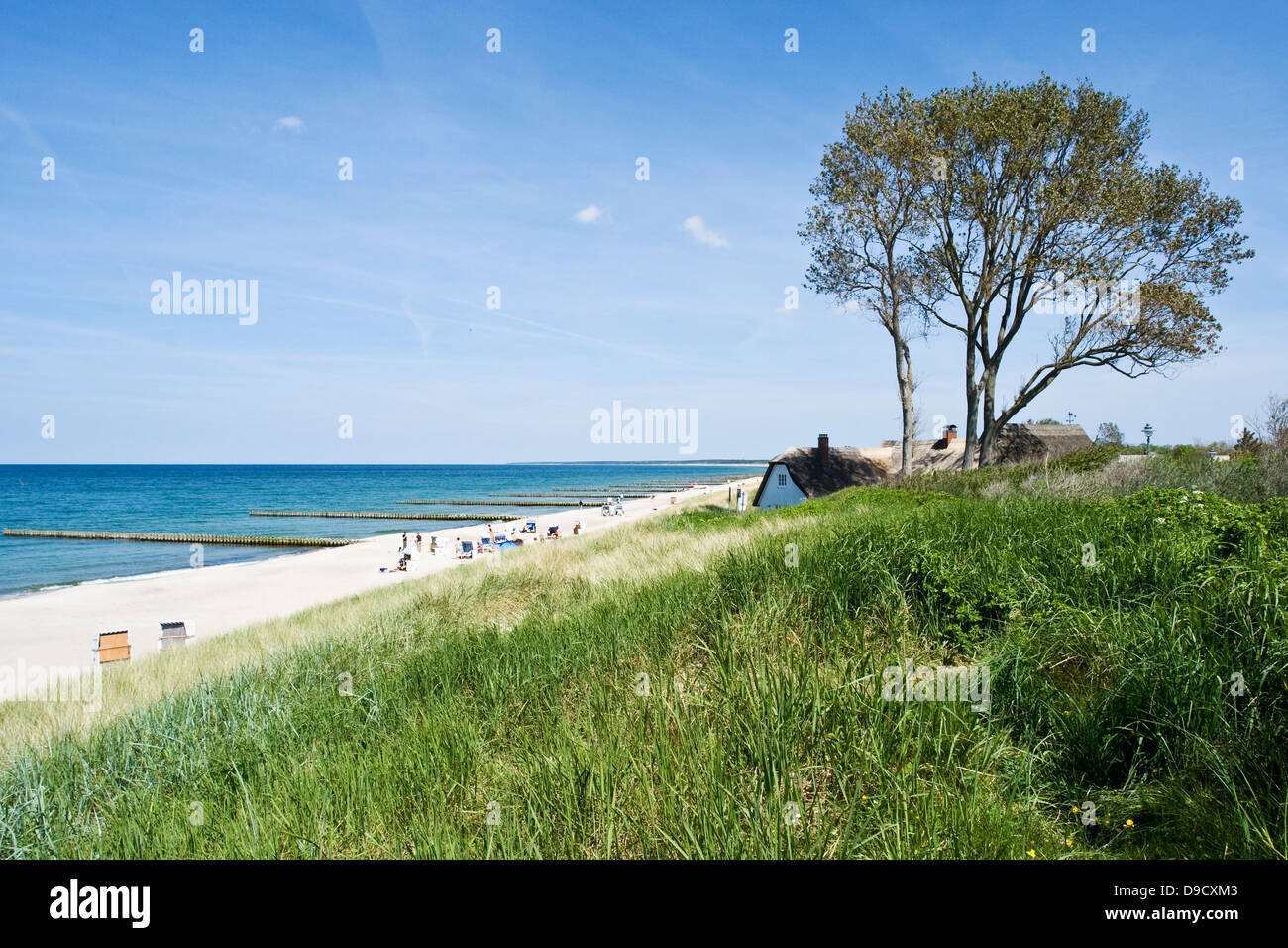 Tratto di spiaggia con Ahrenshoop Foto Stock