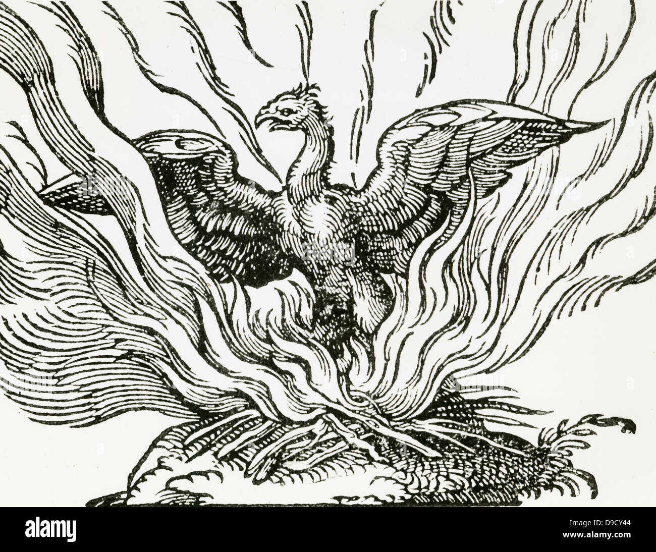 Il Phoenix un favoloso uccello che alla fine della vita rende un nido che si imposta sul fuoco e arde in cenere, poi arriva alla vita di nuovo. Xilografia da un 1669 edizione di Historiae animalium da Conrad Gesner. Foto Stock