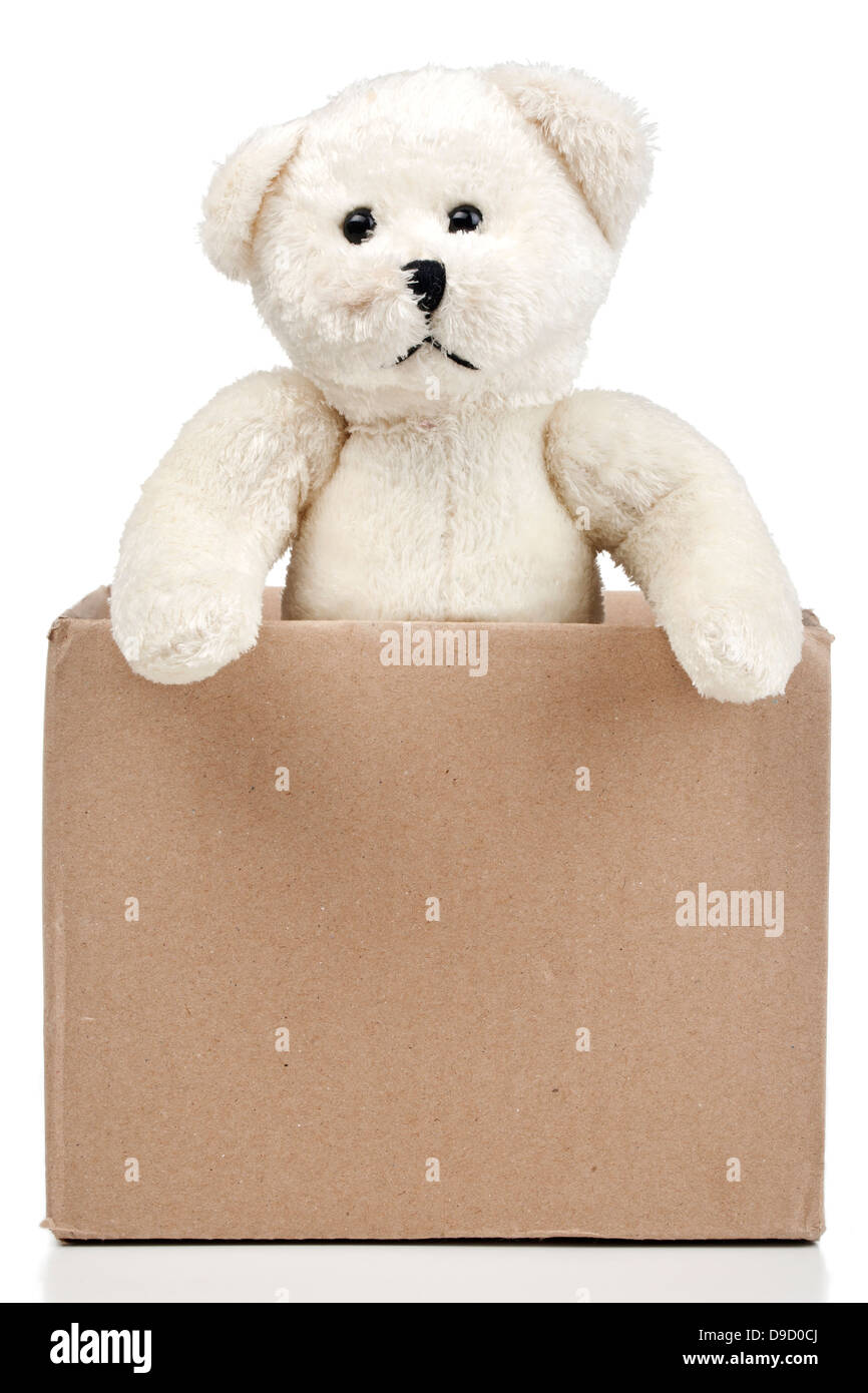 Stoffteddy in un cartone, Teddy in un punzone Foto Stock