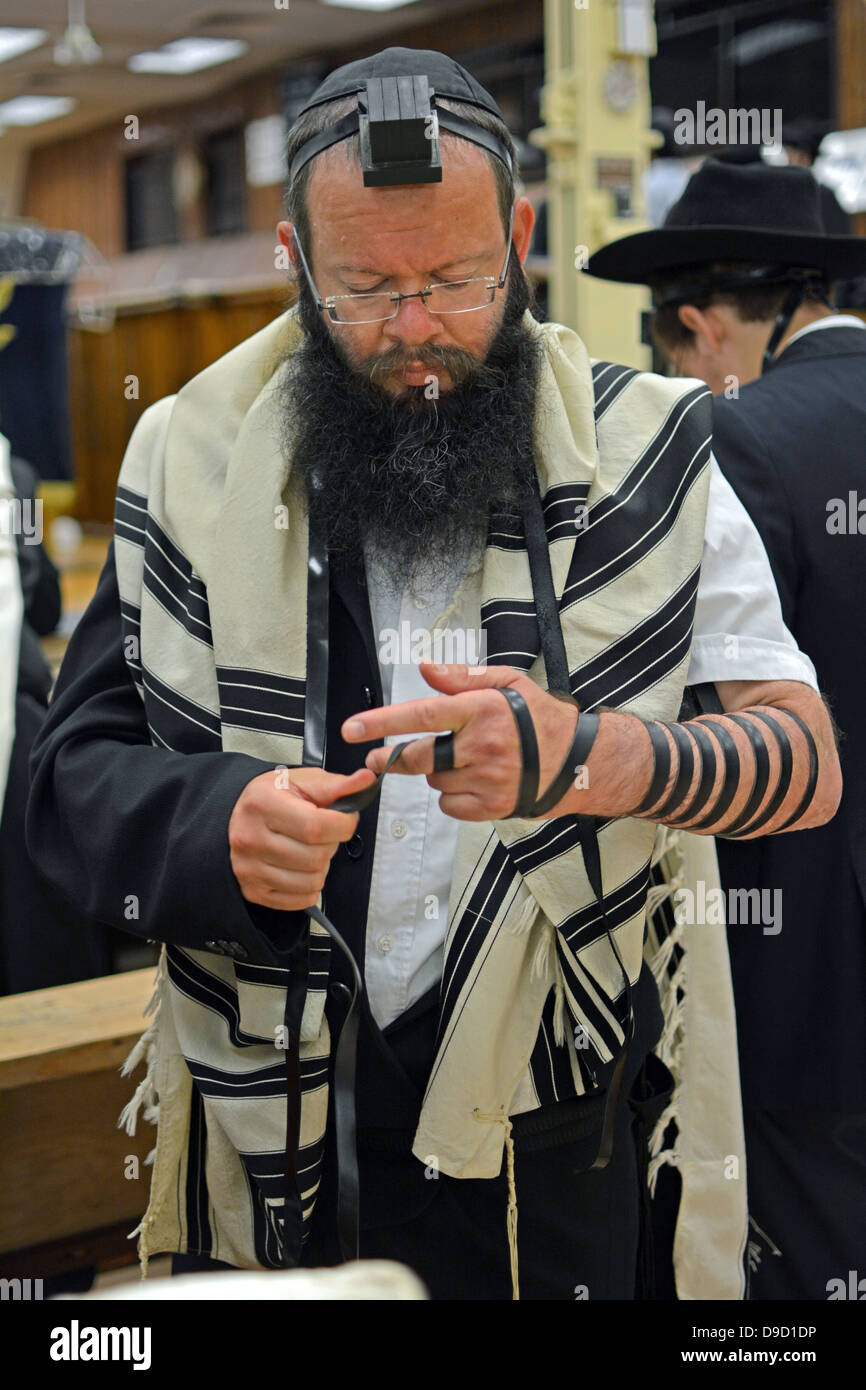 Religiosa ebraica uomo a mettere su phylacteries - teffilin - al mattino servizi a Lubavitch sede a Brooklyn, New York. Foto Stock