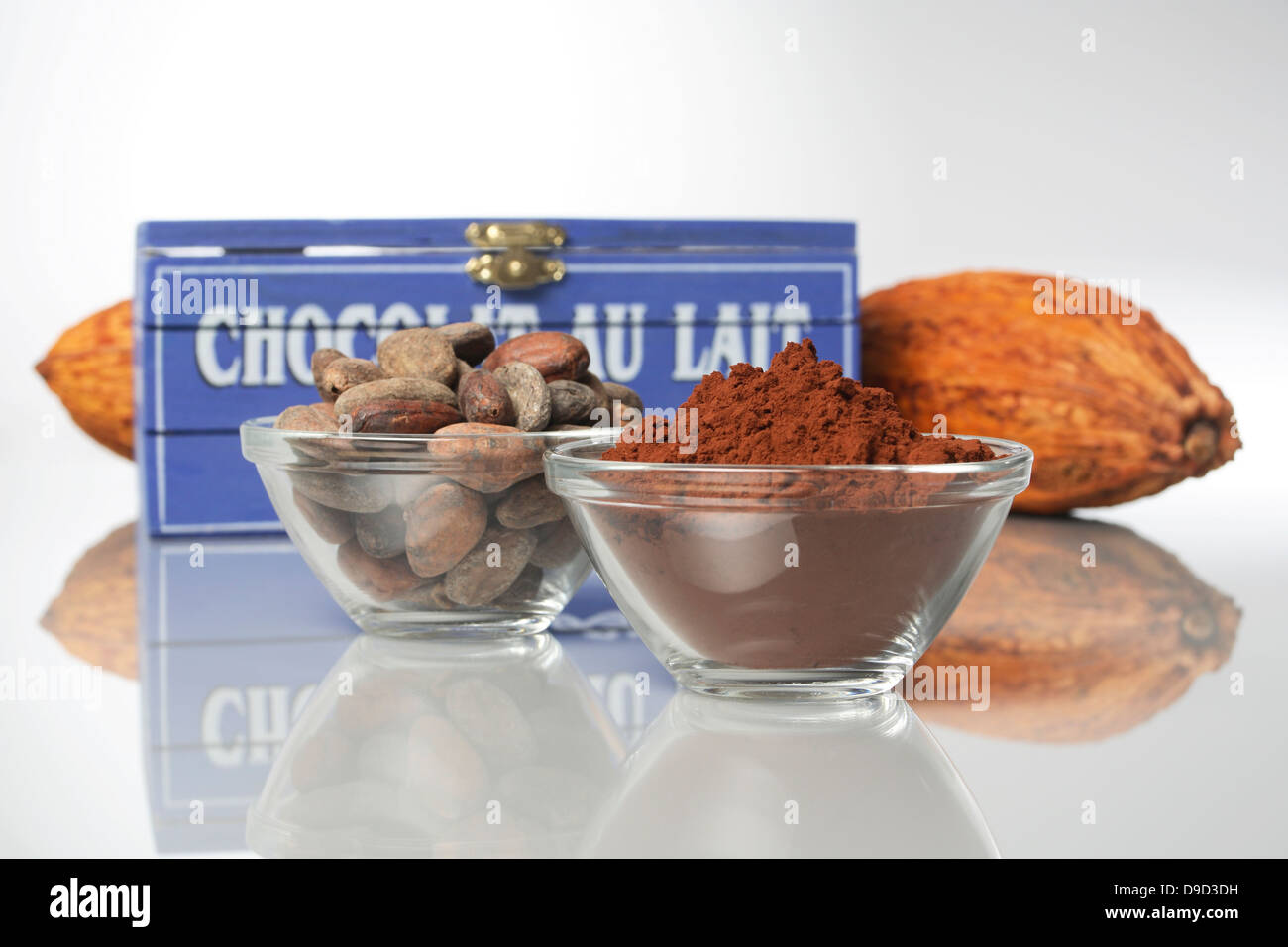 Cacao in polvere e chicchi di cacao Foto Stock