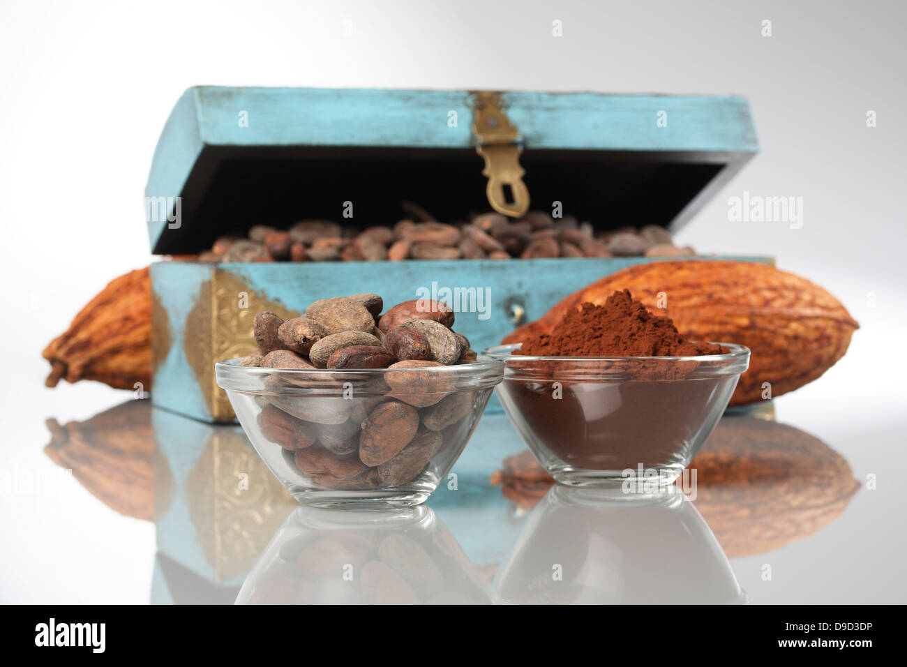 Cacao in polvere e chicchi di cacao Foto Stock