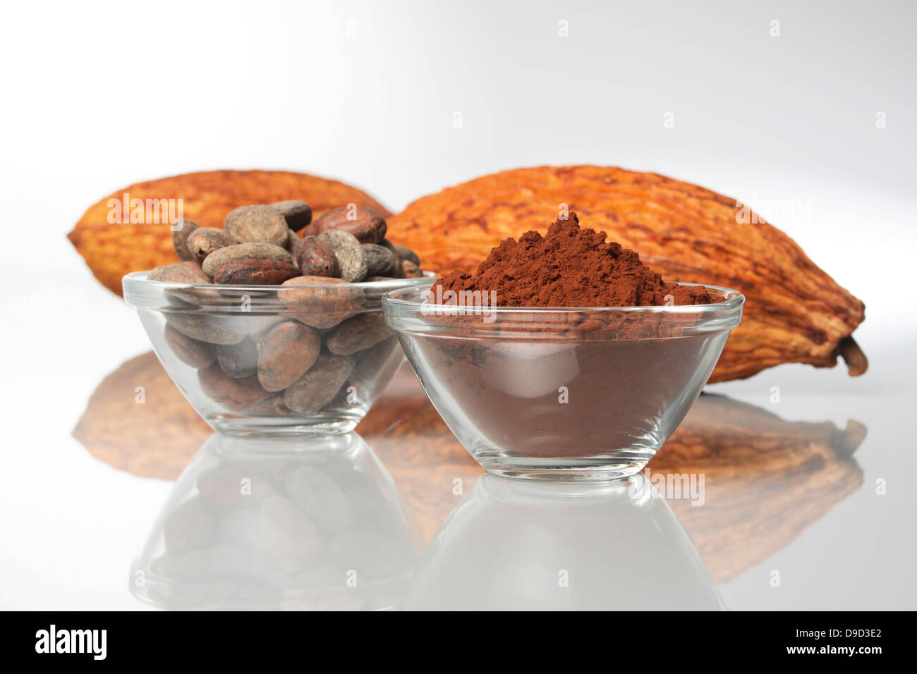 Cacao in polvere e chicchi di cacao Foto Stock