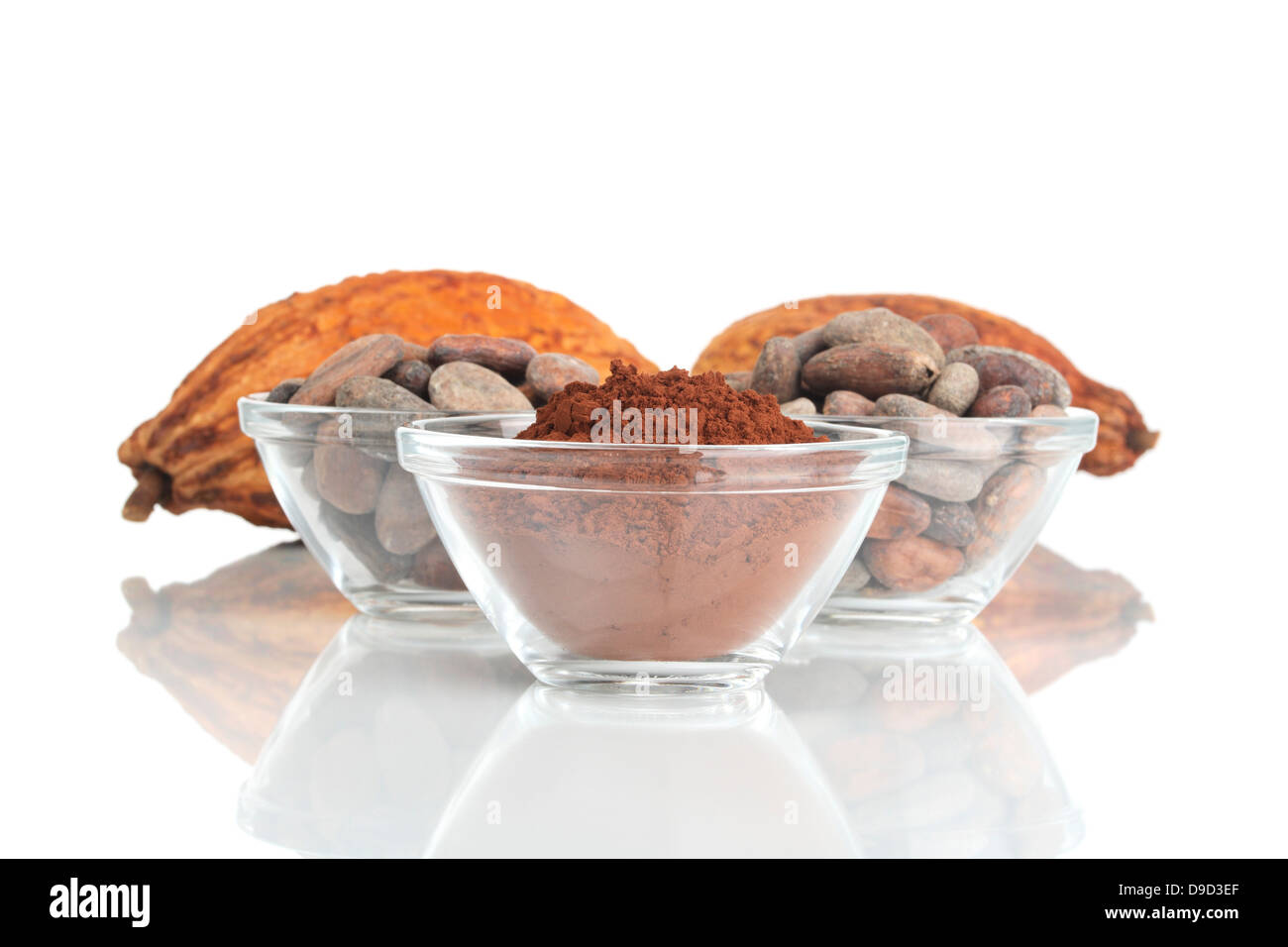 Cacao in polvere e chicchi di cacao Foto Stock