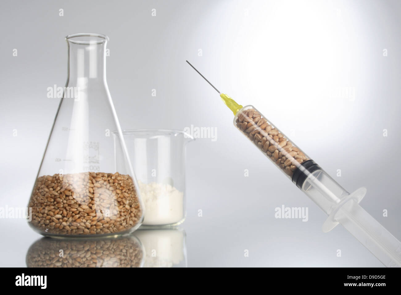 Il grano dal laboratorio Foto Stock