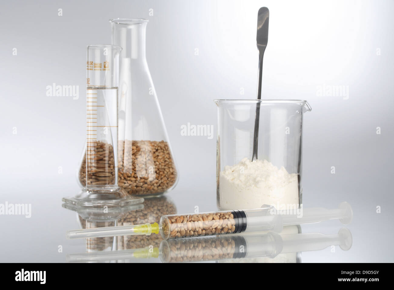 Il grano e la farina in laboratorio Foto Stock