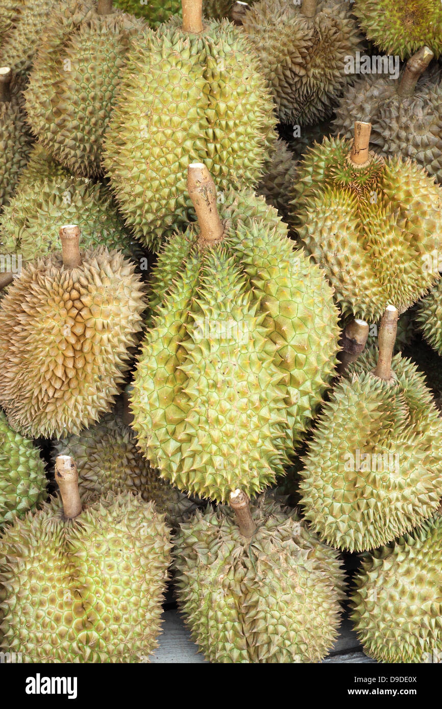 Durian, re di frutta, frutta famoso in Thailandia Foto Stock