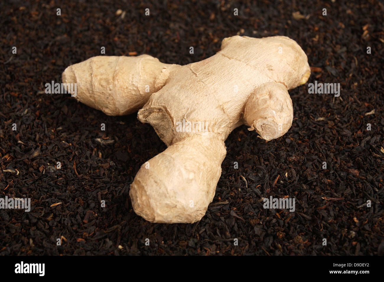 Radice di Zenzero con miscela di tè Foto Stock