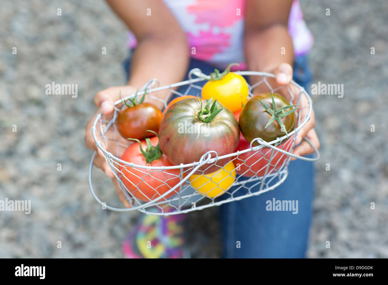 Ragazza con cesto di pomodori maturi, immagine ritagliata Foto Stock