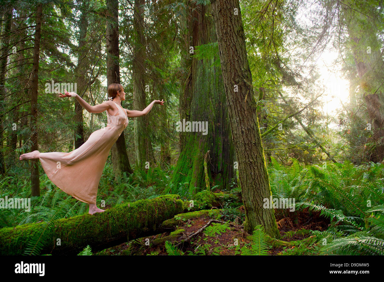 Donna matura in piedi sul log in foresta Foto Stock