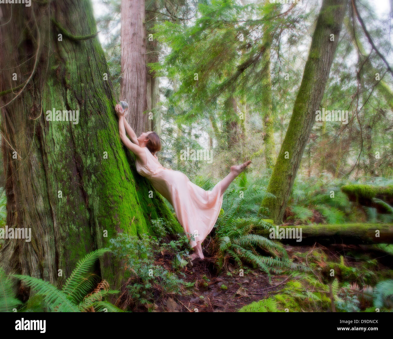 Donna matura azienda sfera di cristallo contro albero nella foresta Foto Stock