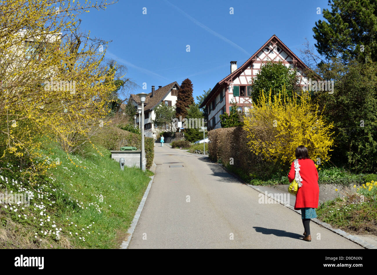Zona residenziale di Richterswil, Zurigo, Svizzera. Foto Stock