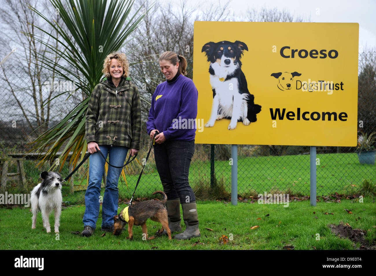 Kate umile visite i cani fiducia vicino a Bridgend, S. Galles con il suo cane Badger dove Lei sta completando l'adozione di un cane Foto Stock