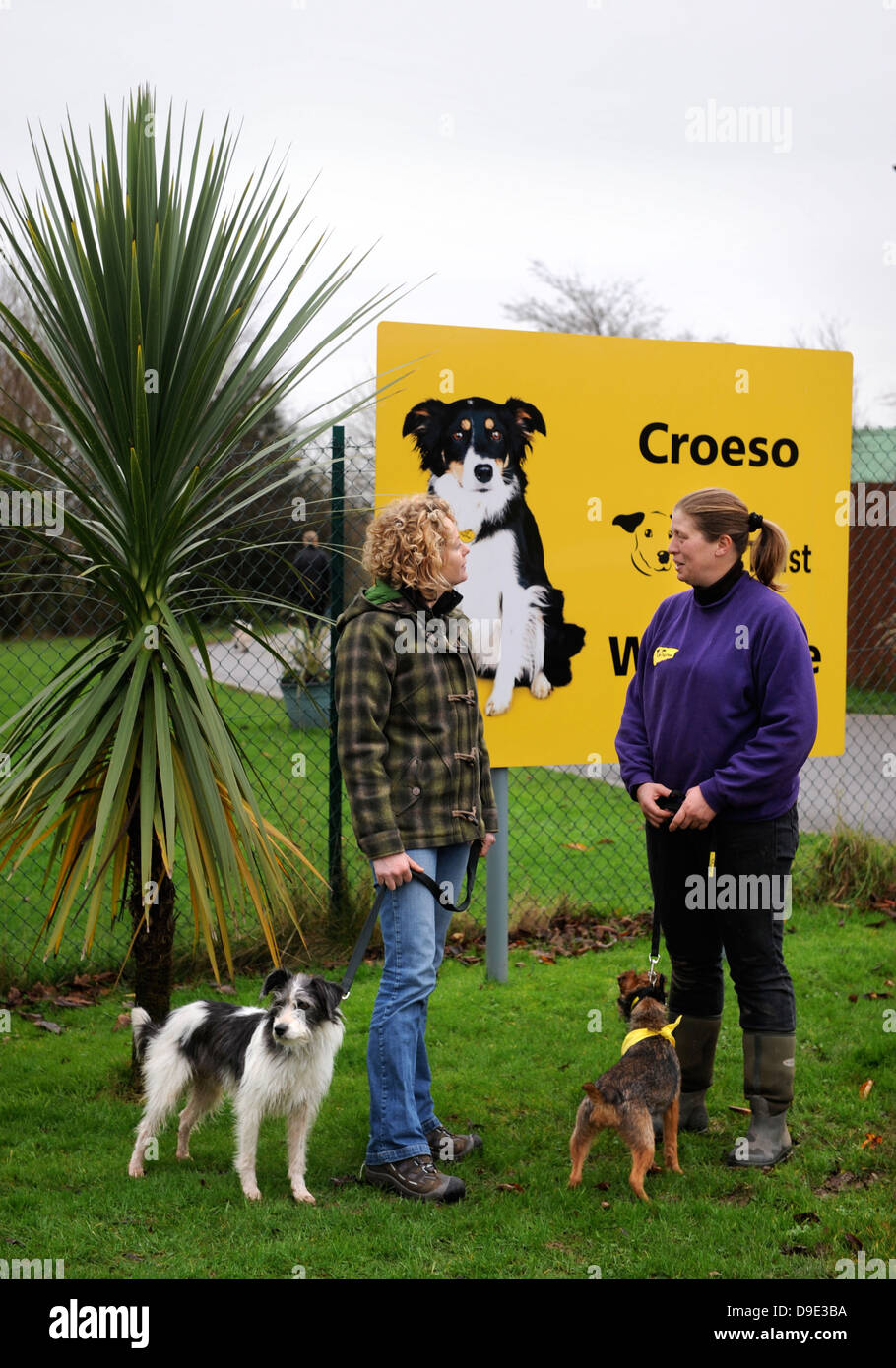 Kate umile visite i cani fiducia vicino a Bridgend, S. Galles con il suo cane Badger dove Lei sta completando l'adozione di un cane Foto Stock