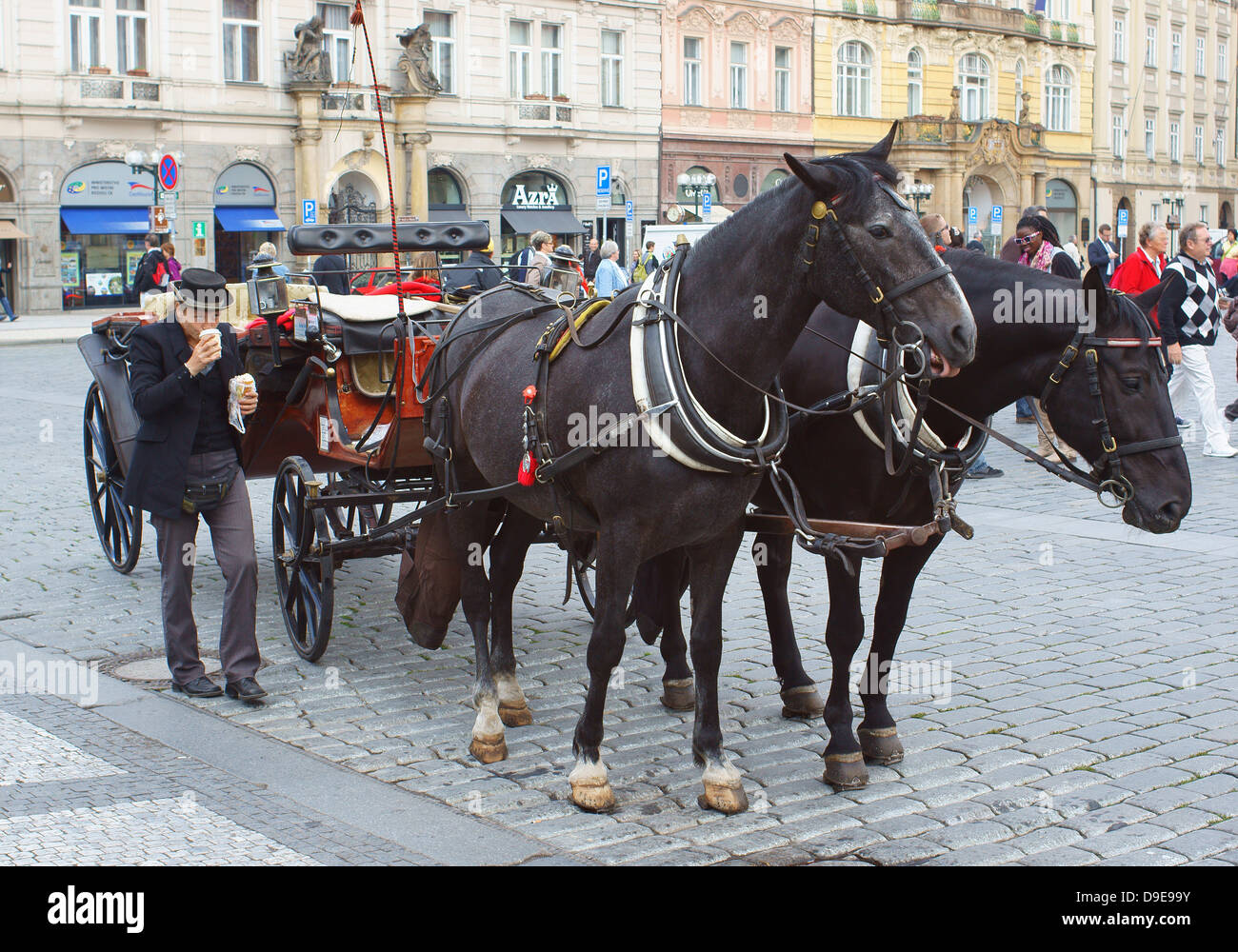 Prague Old Town carro trainato da cavalli per tour della città Foto Stock