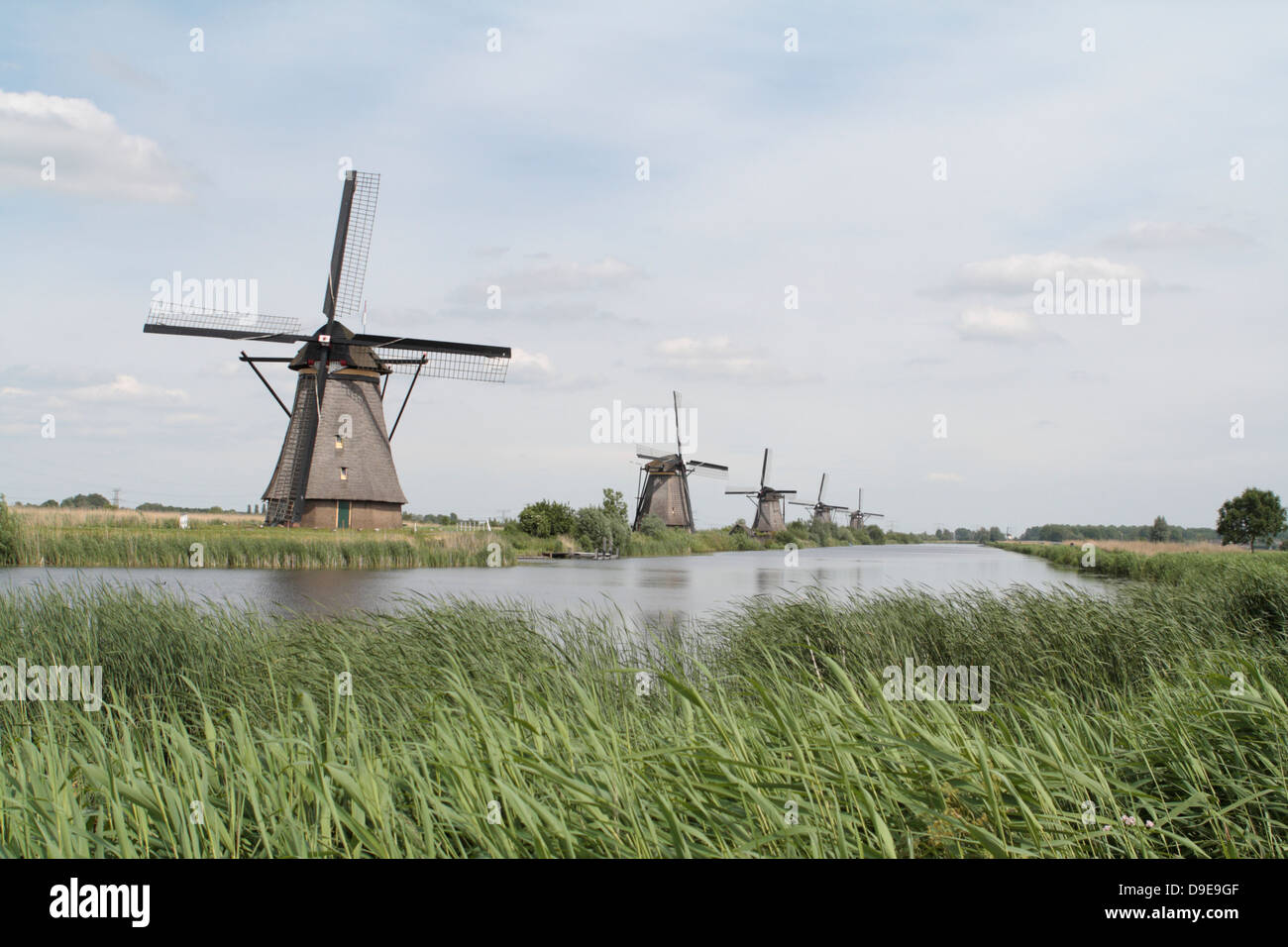 Windmils Kinderdijk, Paesi Bassi Foto Stock