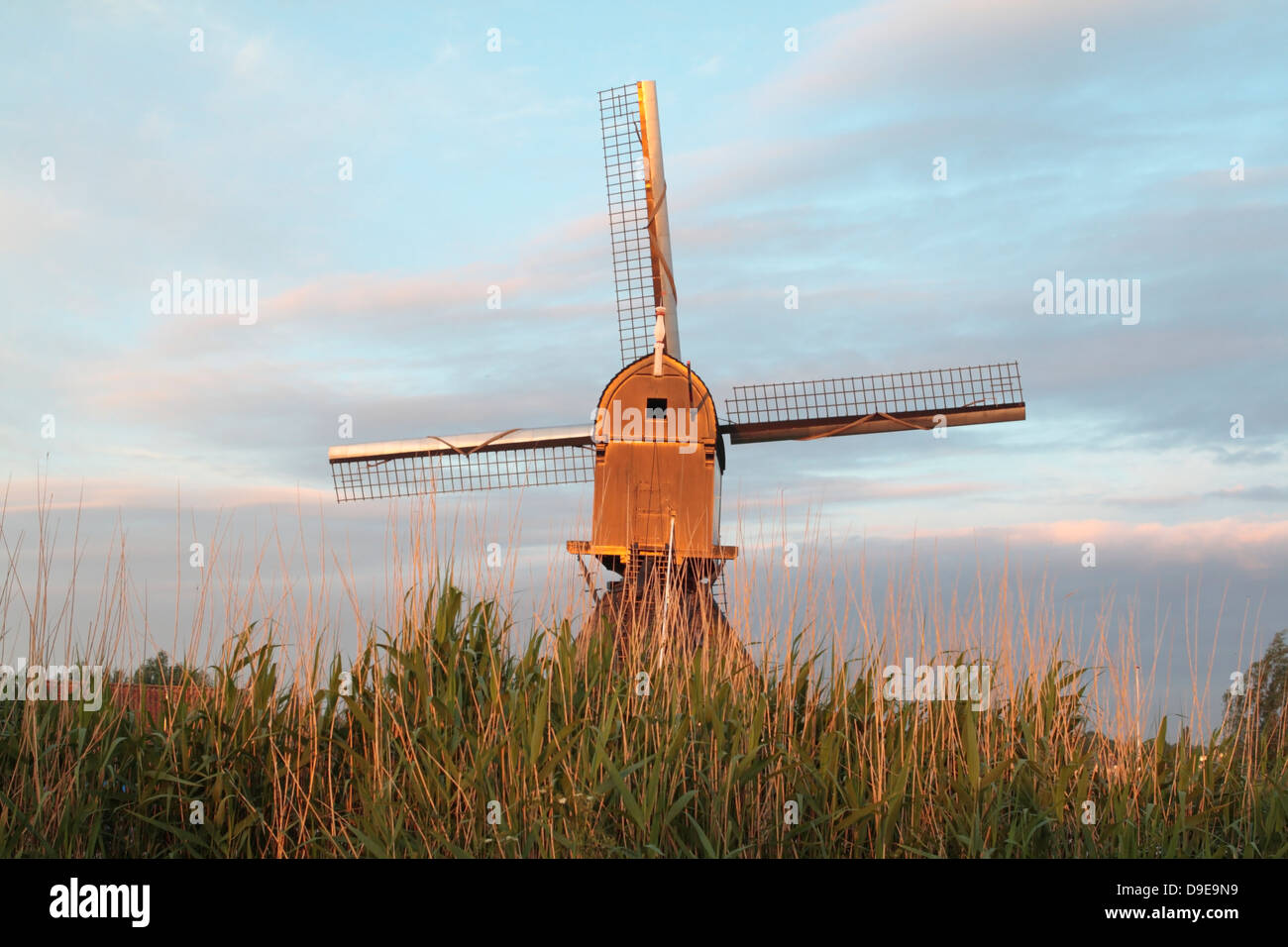 Windmill Kinderdijk, Paesi Bassi Foto Stock