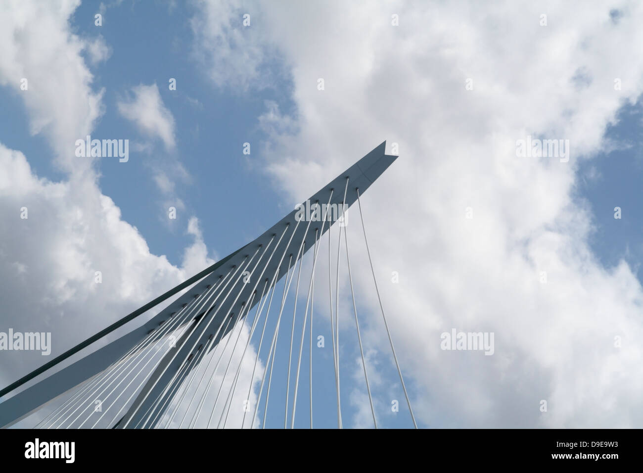 Dettaglio del Ponte Erasmus di Rotterdam, Paesi Bassi Foto Stock