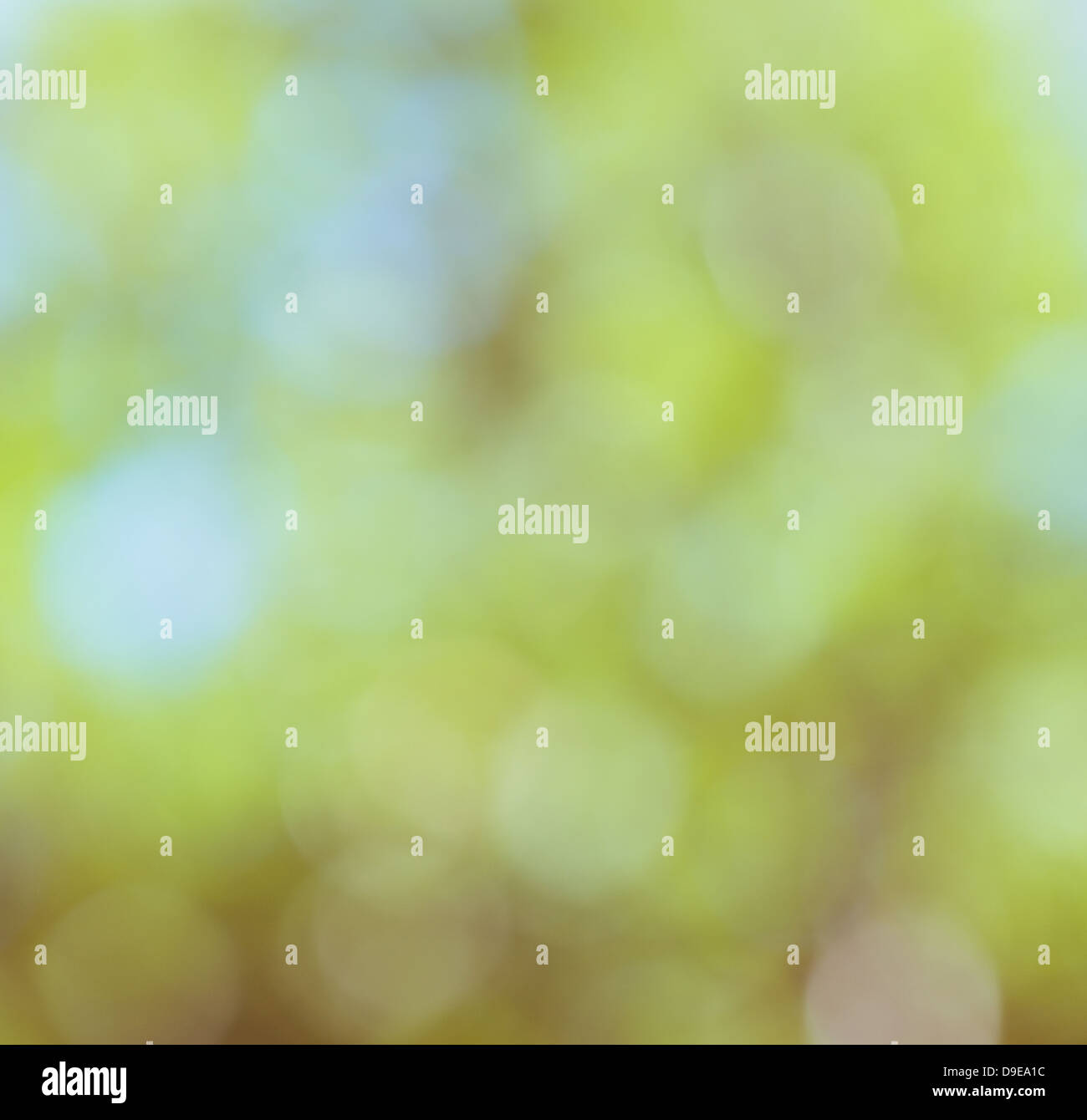 Effetto di sfocatura sullo sfondo, luce astratta boke. Foto Stock