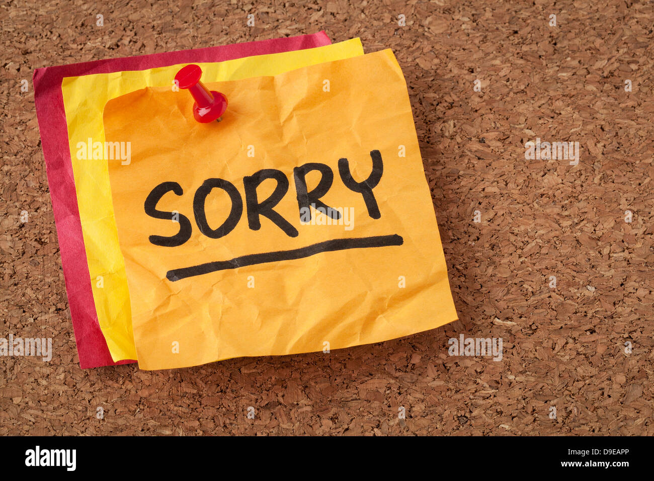 Siamo spiacenti di apologia - scrittura su un arancio nota adesiva Foto Stock