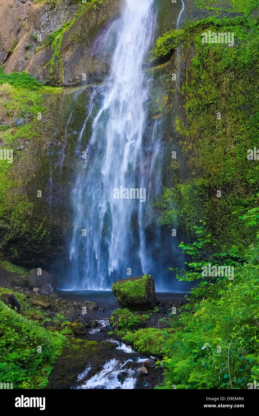 Fogli di acqua saltano giù dal Multnomah cade nella piscina poco profonda circondata da moss al di fuori di Portland, Oregon Foto Stock