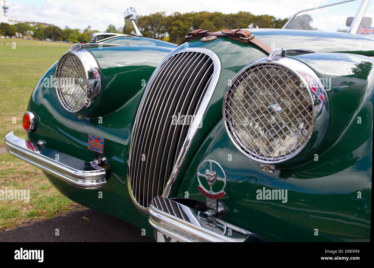 Classic Jaguar Foto Stock