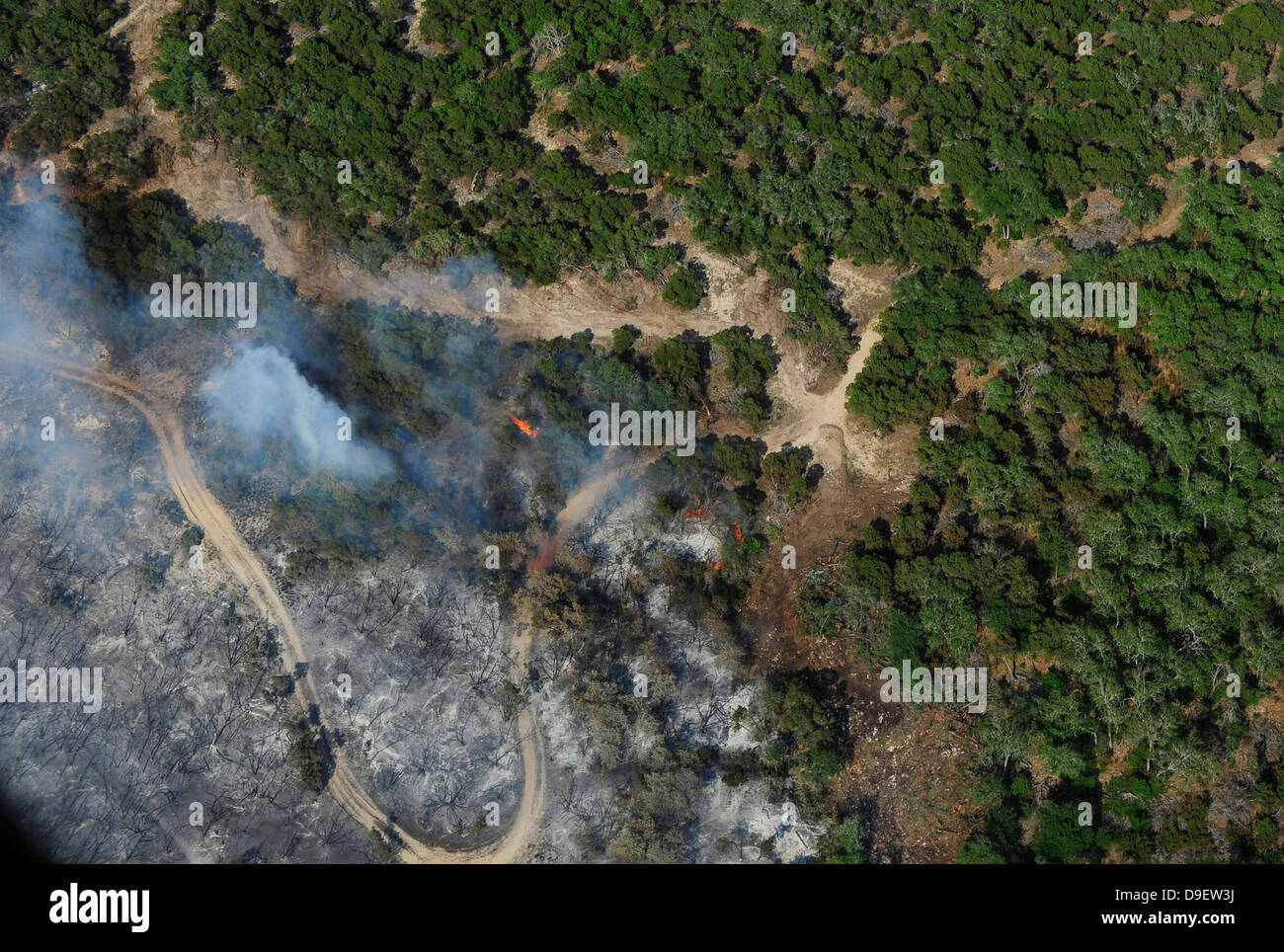 Un wildfire brucia terreno vicino a Austin, Texas. Foto Stock