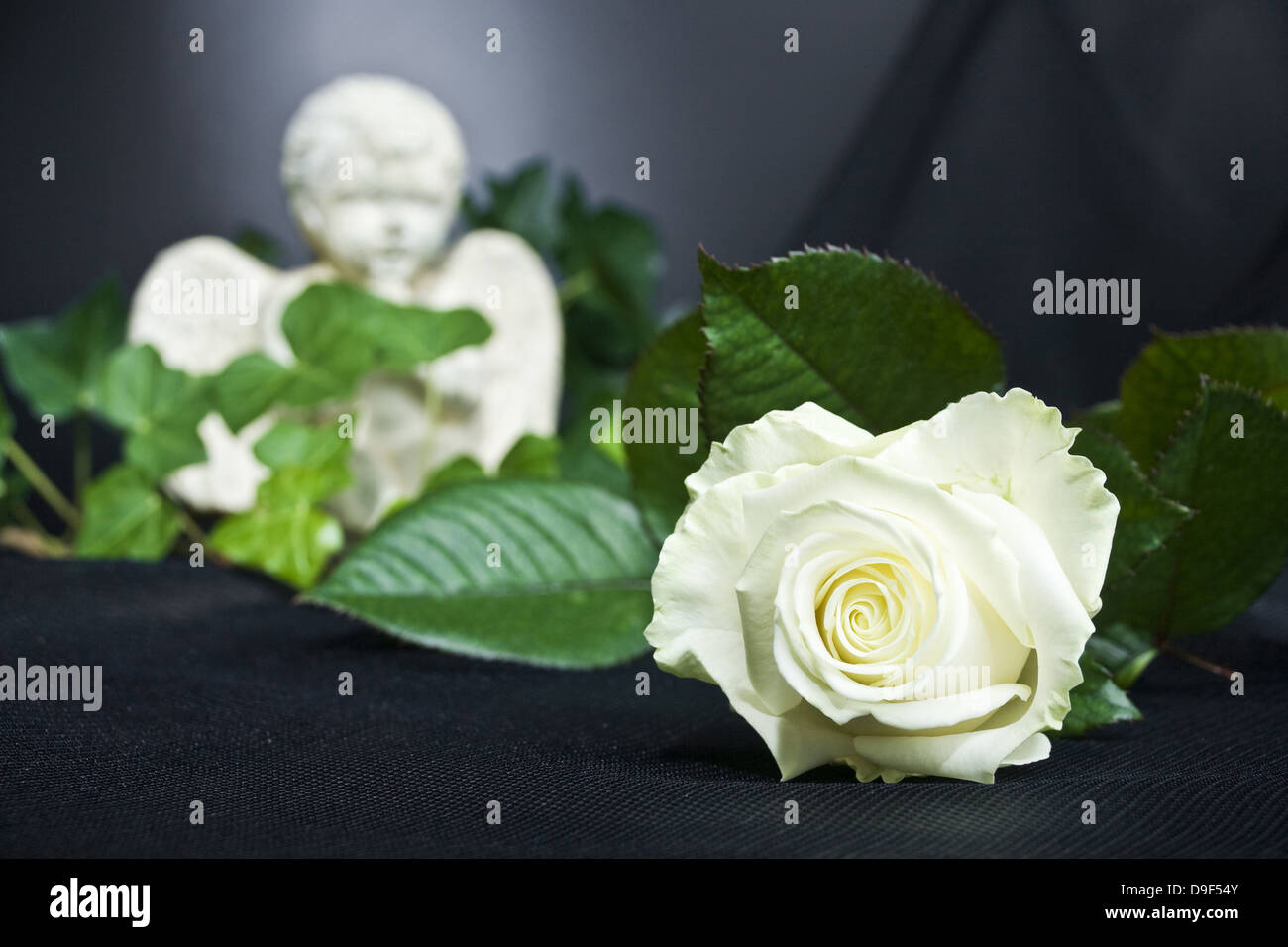 Engel con una rosa ed edera cerniera con una rosa ed edera Foto Stock