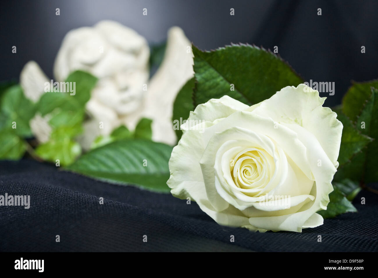 Engel con una rosa ed edera cerniera con una rosa ed edera Foto Stock