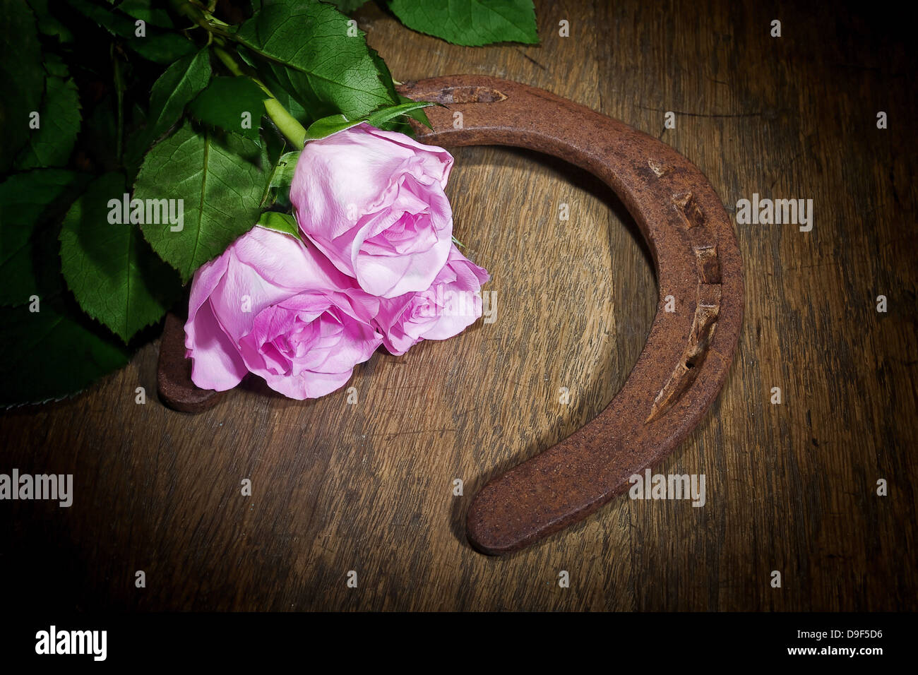 Rose con un ferro di cavallo rose con un ferro di cavallo Foto Stock